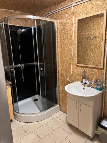 a bathroom with a shower and a sink at Stovyklavietė Dauba in Šyliai
