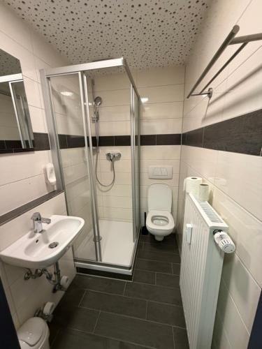 a bathroom with a shower and a toilet and a sink at WaldGold Aparthotel in Nagold