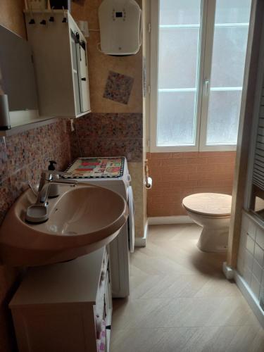 a bathroom with a sink and a toilet at Appartement Douillet in Eaux-Bonnes