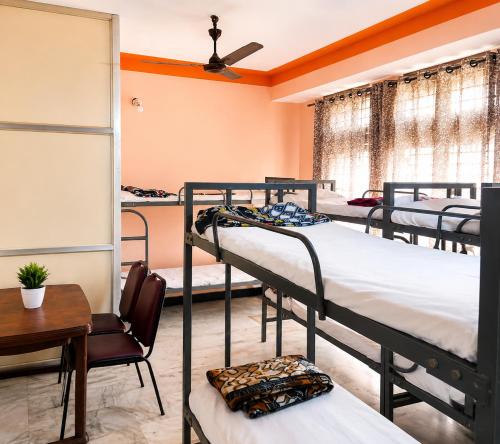 a dorm room with four bunk beds and a chair at Mysore rooms- sgh in Mysore