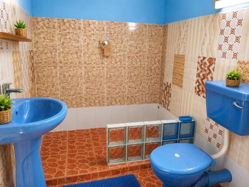 a bathroom with a blue toilet and a sink at Naisi spur in Zomba