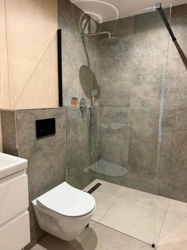 a bathroom with a toilet and a glass shower at Widokówka Radostowa in Podmąchocice