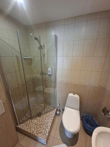 a bathroom with a shower and a toilet at Girele in Šiauliai