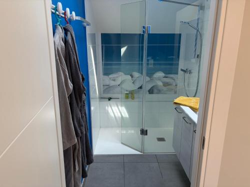 a bathroom with a shower with a glass door at L 'Écrin du Lac et Parkings in Veyrier-du-Lac