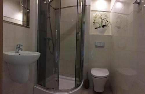 札雷的住宿－Zajazd Zacisze，带淋浴、卫生间和盥洗盆的浴室