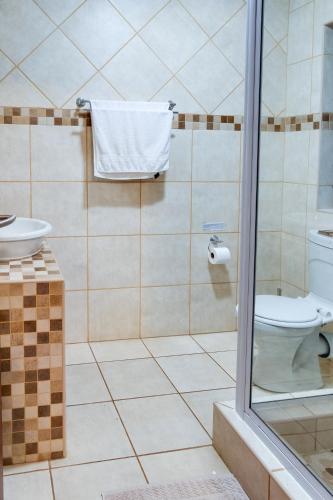 a bathroom with a toilet and a sink at Drakensberg Vultures View in Cathkin Park