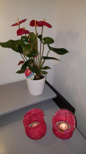 two red candles and a potted plant on a shelf at BellaCaro in Löhne