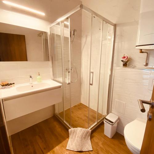 a bathroom with a shower and a sink and a toilet at Argent apartman in Balatonmáriafürdő