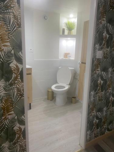 a bathroom with a toilet in a room at maison de village in Alairac