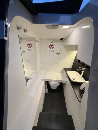 ein kleines Badezimmer mit Toilette und Waschbecken in der Unterkunft Diva Catamarano in Feriolo