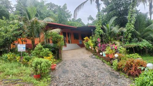 a house with a lot of plants in front of it at Vitthal prema nivas in Sawantwadi