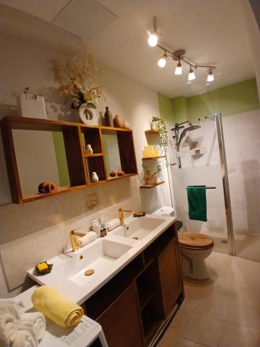 a bathroom with a sink and a shower and a toilet at L'Escale Orléans Chambres d'hôtes in Orléans