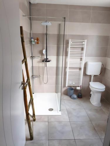 a bathroom with a shower and a toilet at Villa proche plage pour 3 pers in Vielle-Saint-Girons