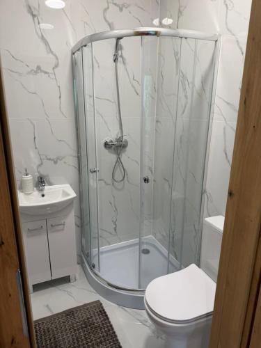 a bathroom with a shower with a toilet and a sink at Hostel in Piotrków Trybunalski