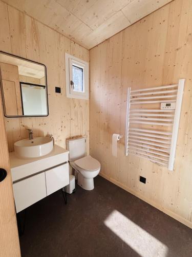 a bathroom with a toilet and a sink and a mirror at Les Deux M Tiny House with Private Garden in Sorgues