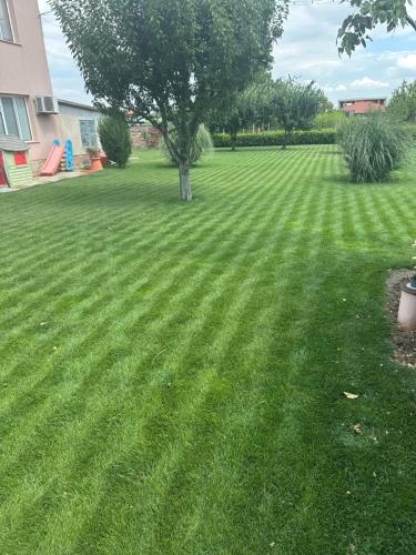 a lawn with a tree in the middle of it at Къща Бети самостоятелни апартаменти с двор край Пловдив in Skutare
