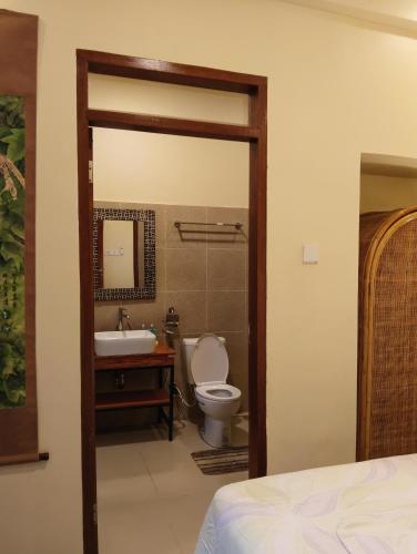 a bathroom with a toilet and a sink and a mirror at Suci's Friendly Apartments in Mataram