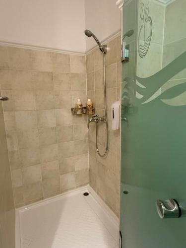 a bathroom with a shower and a tub at BeWell Apartment in Zalakaros
