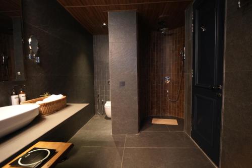 a bathroom with a shower and a sink and a toilet at Van Rāsa in Kasauli