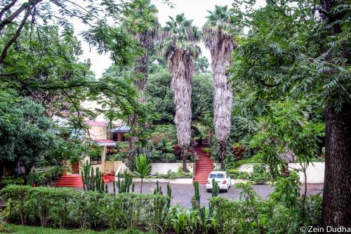 Giardino di Villa 33
