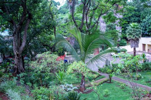 Giardino di Villa 33