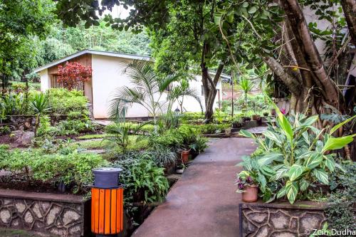 Giardino di Villa 33