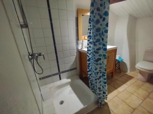 a bathroom with a shower and a tub and a toilet at Brimborion in Alba-la-Romaine