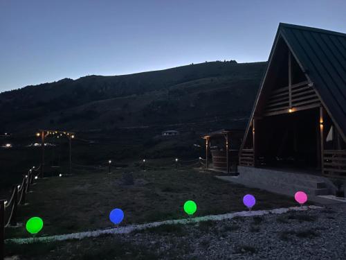 a group of balloons sitting on the grass in front of a building at Cabana AxD in Cotorăşti