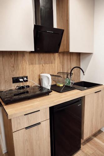 a kitchen with a sink and a black dishwasher at Apartament w Parku 5 in Żywiec