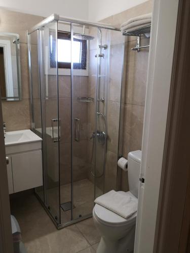 ein Badezimmer mit Dusche, Toilette und Waschbecken in der Unterkunft Ekali Hotel in Kakopetria