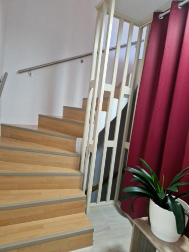 a staircase with a potted plant next to a red curtain at Apartment Stark in Merkendorf