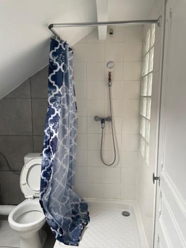 a bathroom with a shower with a toilet at Proche métro Line 4 RER B in Bagneux