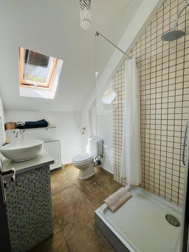 a bathroom with a shower and a sink and a toilet at Vila Mama Jana in Buşteni