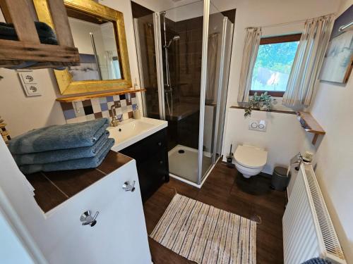 a bathroom with a sink and a shower and a toilet at Unser Hasenstall in Wietzendorf