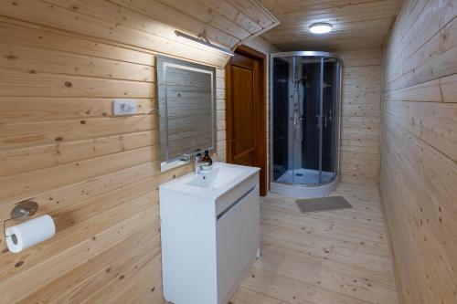 ein Badezimmer mit weißem Waschbecken und Dusche in der Unterkunft Arhondaric in Rucăr