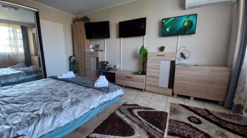 a bedroom with a bed and a flat screen tv at Panoramic Tower Room in Piatra Neamţ