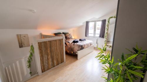 Le Bambou - duplex Zen au Coeur du Vieux Rouen