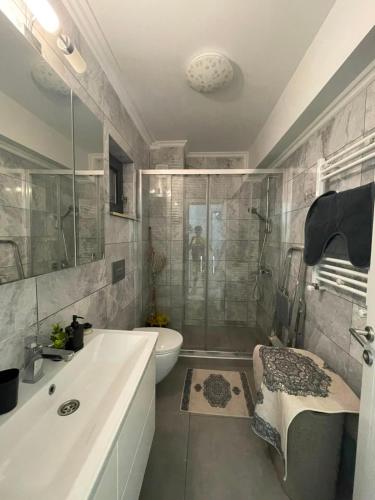 a bathroom with a shower and a sink and a toilet at Solid House Apartment - Sea View in Mamaia
