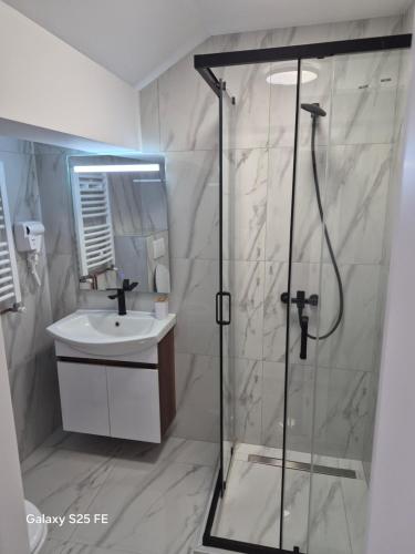 a bathroom with a shower and a sink at Stari Grad in Kragujevac