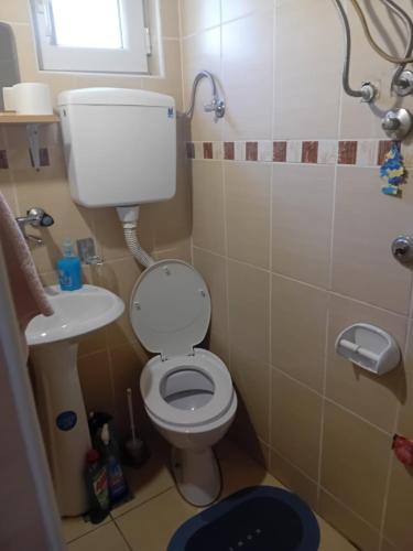a small bathroom with a toilet and a sink at Dusica in Vrnjačka Banja