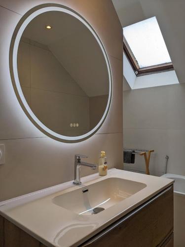 a bathroom with a sink and a mirror at Gîtes du Martroy in Nargis