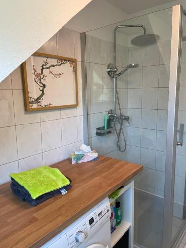 a bathroom with a shower and a wooden counter top at Deep Blue Dümmer - Apartment in Lembruch