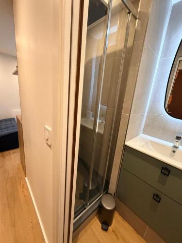 a glass shower in a bathroom with a sink at Le 400 BIS in Bourg-Saint-Maurice