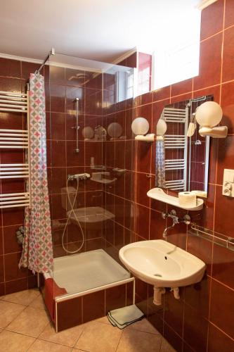 a bathroom with a shower and a sink at Willa Świerk in Susiec