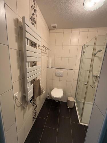 a bathroom with a toilet and a glass shower at Ferienwohnung Grüne Oase in Lübbenau
