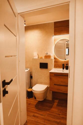 a bathroom with a toilet and a sink and a mirror at Apartament w Parku 2 in Żywiec