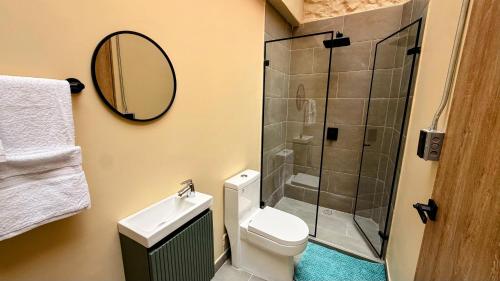 a bathroom with a shower and a toilet and a mirror at Nam Hotel Boutique Medellin in Medellín