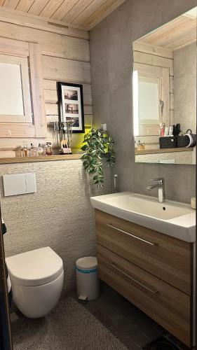 a bathroom with a white toilet and a sink at Villa Narikko in Sysmä