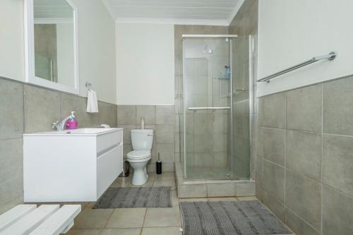 a bathroom with a toilet and a shower at Donkieshoek Accommodation & Campsite, Welgemoed Street, Calvinia in Calvinia