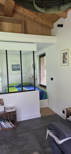 a room with a large mirror on the wall at Cabane dans la vallée de Chamonix in Servoz